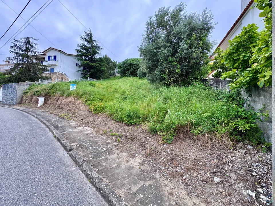 Terreno para Venda em São Pedro de Tomar Foto 8