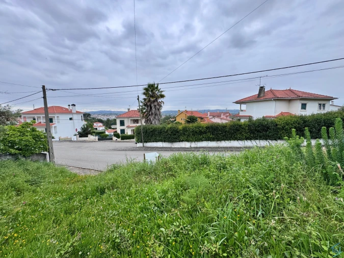 Terreno para Venda em São Pedro de Tomar Foto 12