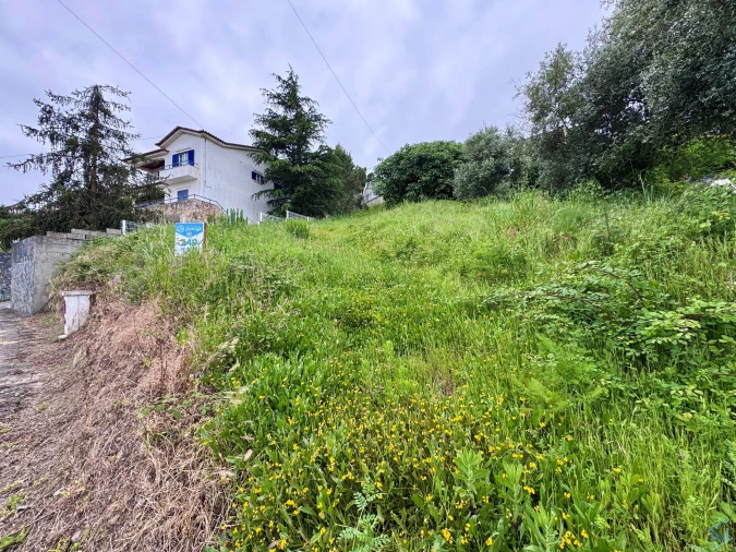 Terreno para Venda em São Pedro de Tomar Foto 6