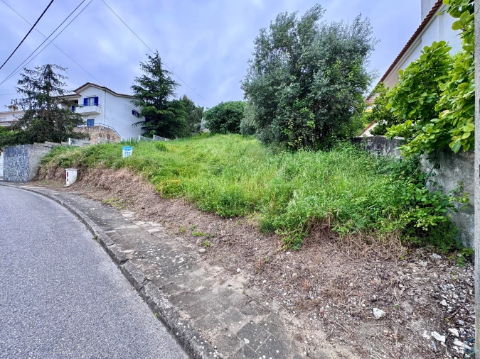 Terreno para Venda em São Pedro de Tomar Foto 8