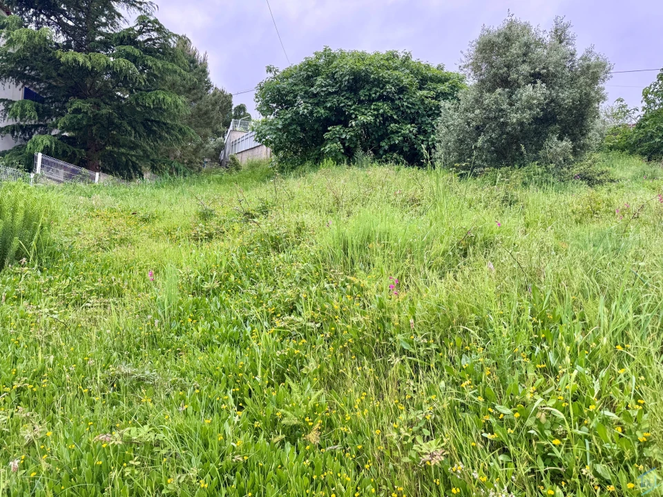 Terreno para Venda em São Pedro de Tomar Foto 11