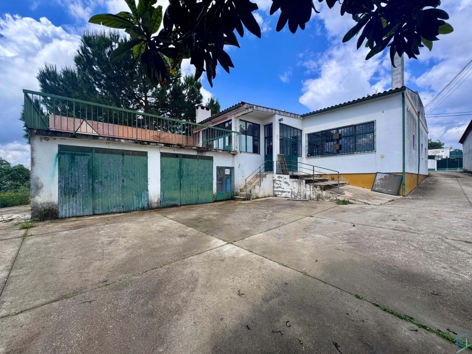 Negócio para Venda em Paialvo Foto 27