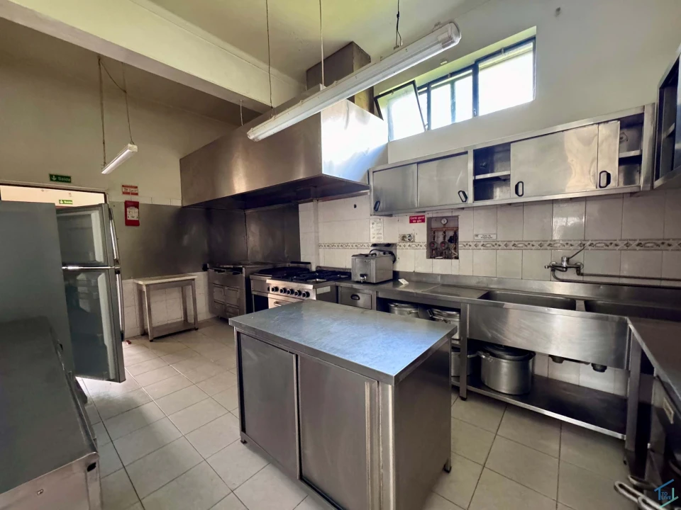 Negócio para Venda em Paialvo Foto 14