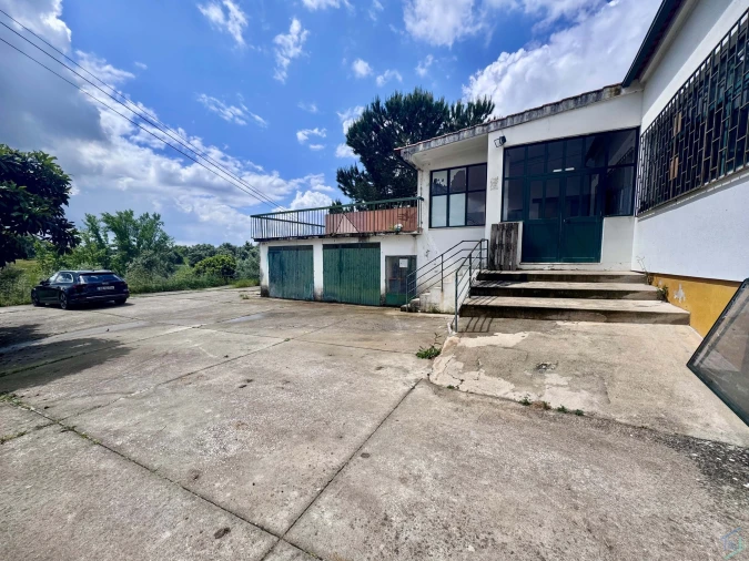 Negócio para Venda em Paialvo Foto 28