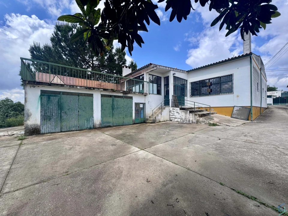 Negócio para Venda em Paialvo Foto 2