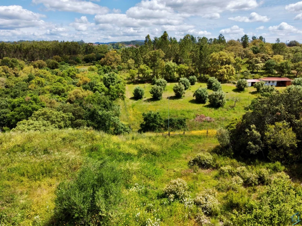 Terreno para Venda em Casais e Alviobeira Foto 7