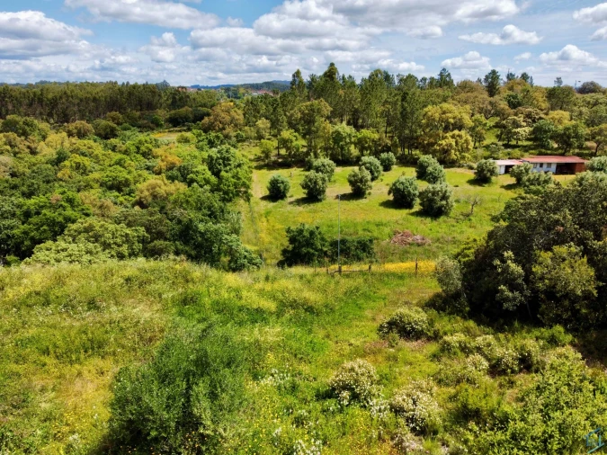 Terreno para Venda em Casais e Alviobeira Foto 7