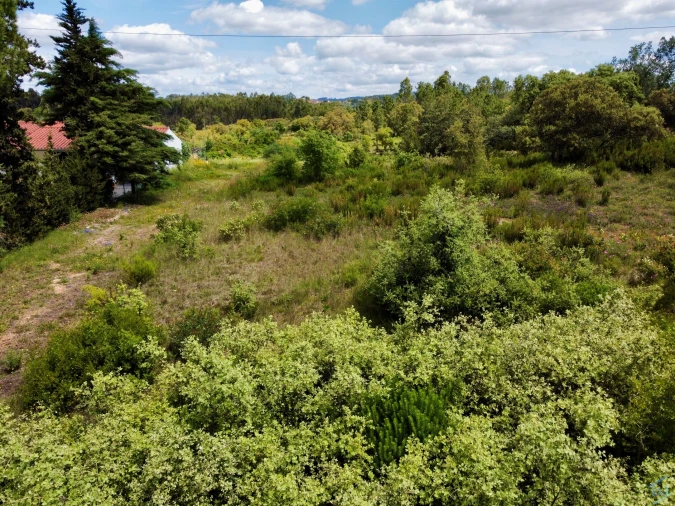 Terreno para Venda em Casais e Alviobeira Foto 4