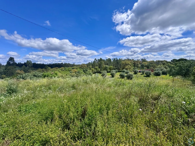 Terreno para Venda em Casais e Alviobeira Foto 22