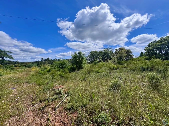 Terreno para Venda em Casais e Alviobeira Foto 17