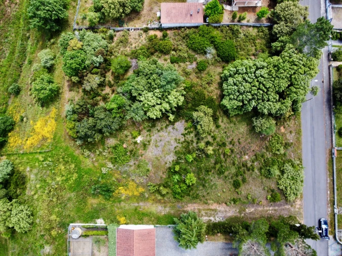 Terreno para Venda em Casais e Alviobeira Foto 11