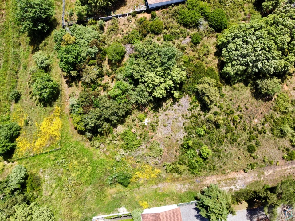Terreno para Venda em Casais e Alviobeira Foto 12