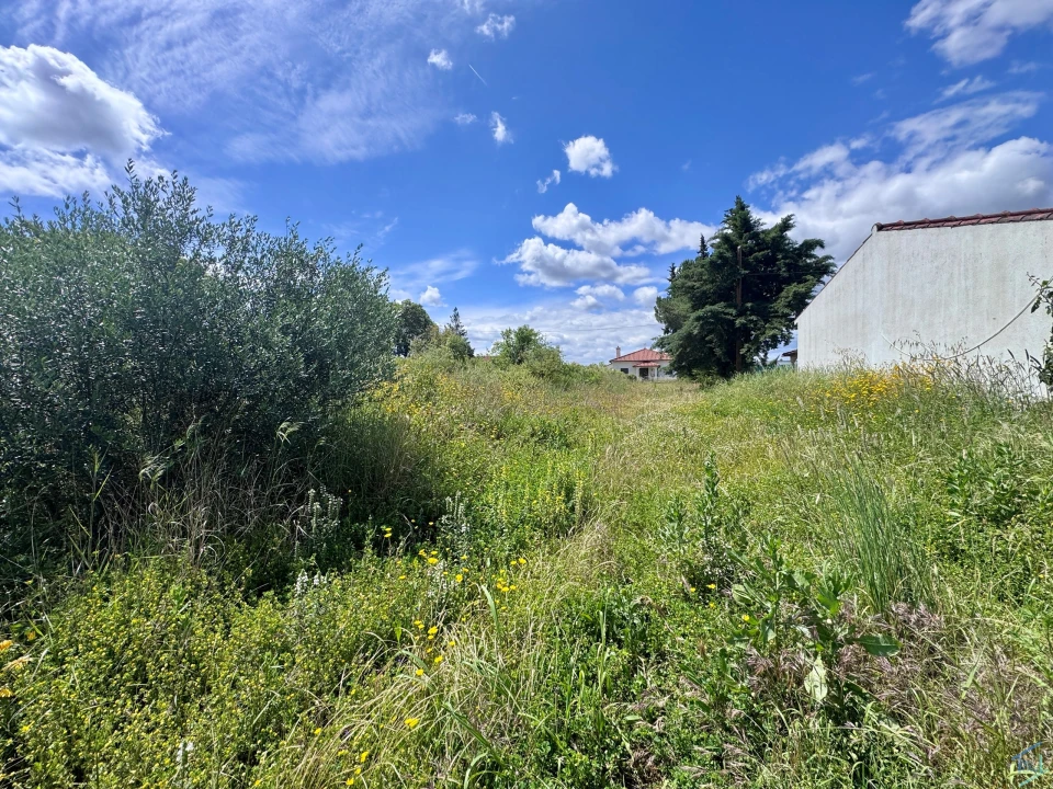 Terreno para Venda em Casais e Alviobeira Foto 20