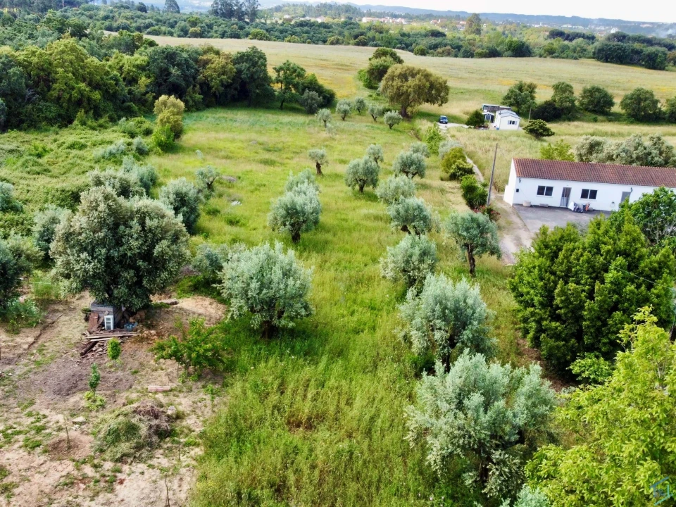 Terreno para Venda em São Pedro de Tomar Foto 8