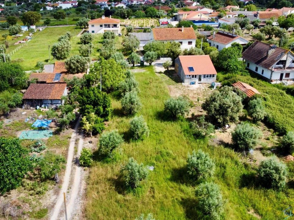 Terreno para Venda em São Pedro de Tomar Foto 19