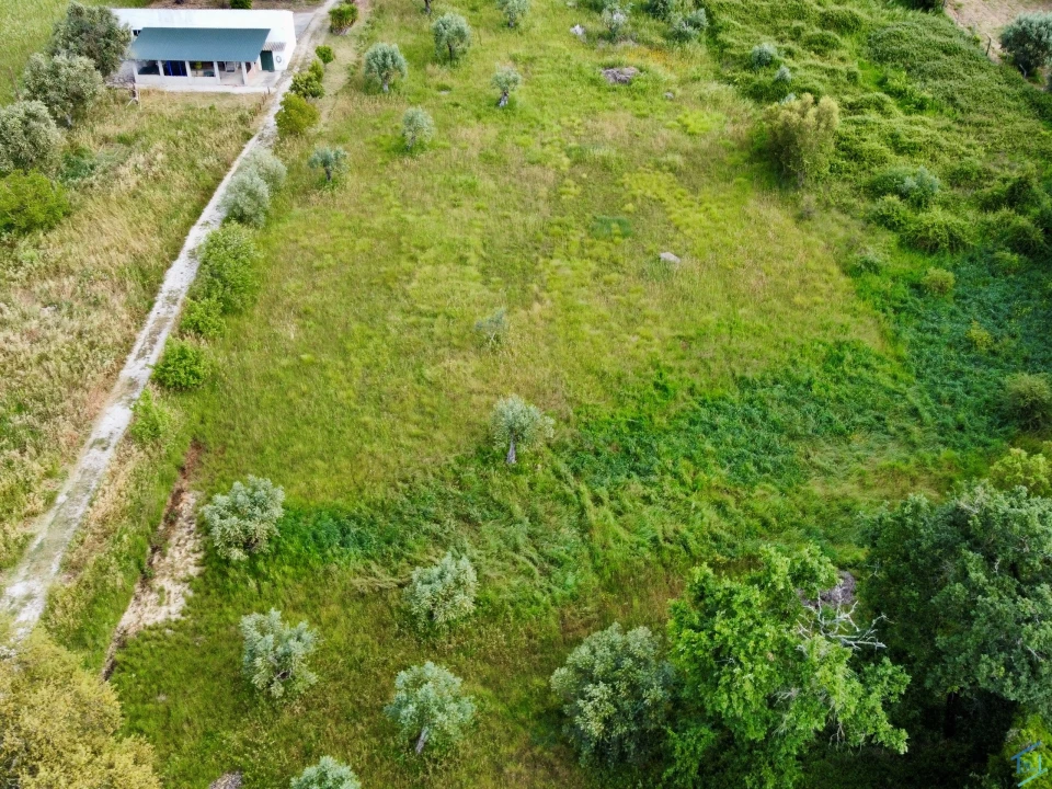 Terreno para Venda em São Pedro de Tomar Foto 12
