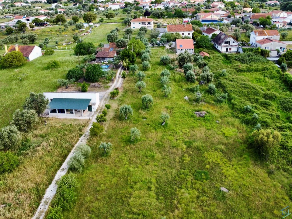Terreno para Venda em São Pedro de Tomar Foto 16