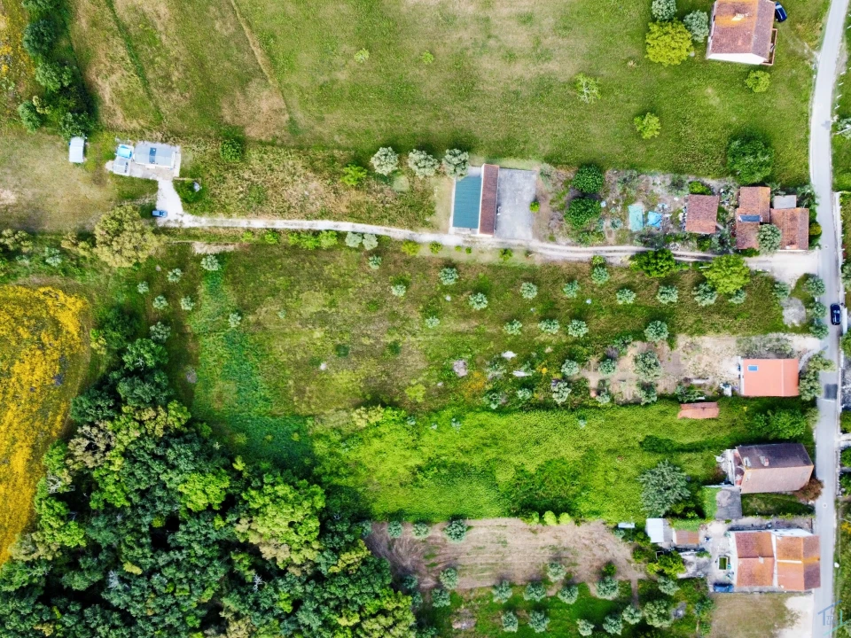Terreno para Venda em São Pedro de Tomar Foto 20