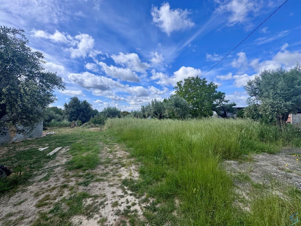 Terreno para Venda em São Pedro de Tomar Foto 5
