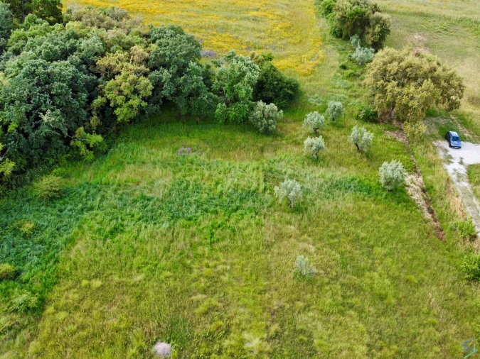 Terreno para Venda em São Pedro de Tomar Foto 11