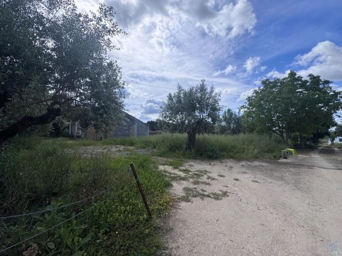 Terreno para Venda em São Pedro de Tomar Foto 6