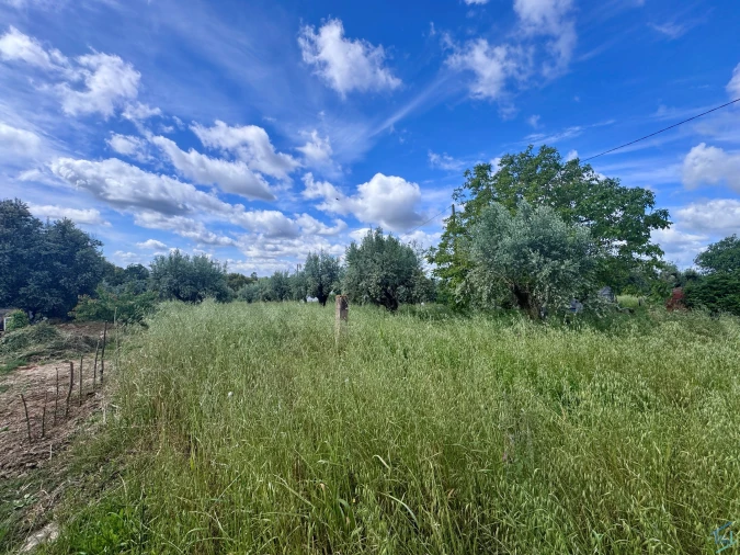 Terreno para Venda em São Pedro de Tomar Foto 4