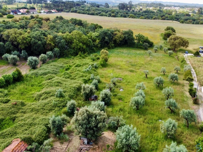 Terreno para Venda em São Pedro de Tomar Foto 9