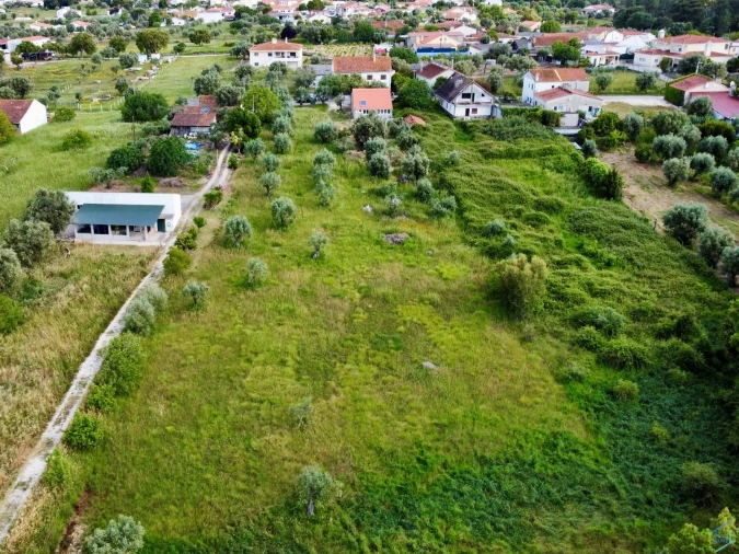 Terreno para Venda em São Pedro de Tomar Foto 15