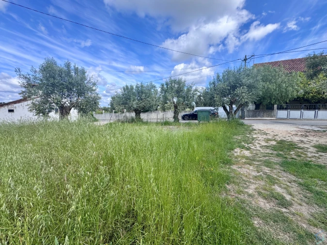Terreno para Venda em São Pedro de Tomar Foto 3