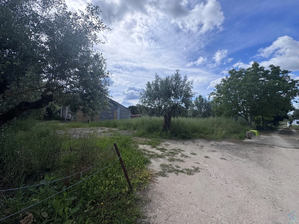 Terreno para Venda em São Pedro de Tomar Foto 6