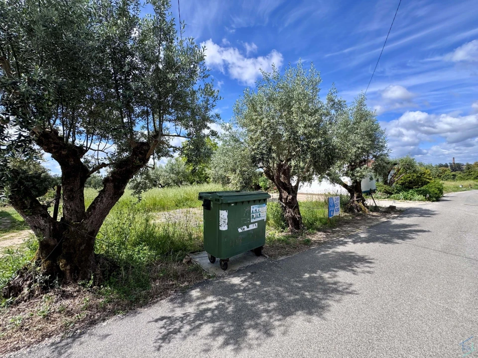 Terreno para Venda em São Pedro de Tomar Foto 7