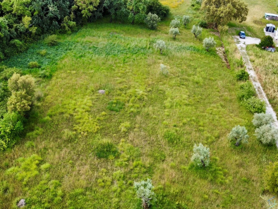 Terreno para Venda em São Pedro de Tomar Foto 10