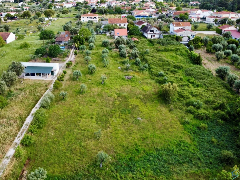 Terreno para Venda em São Pedro de Tomar Foto 15