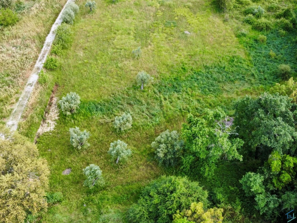 Terreno para Venda em São Pedro de Tomar Foto 13