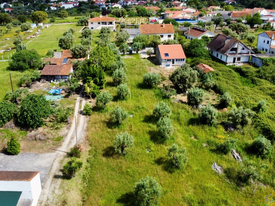 Terreno para Venda em São Pedro de Tomar Foto 18