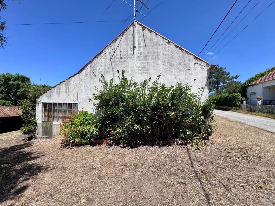 Moradia T2 para Venda em Madalena e Beselga Foto 3