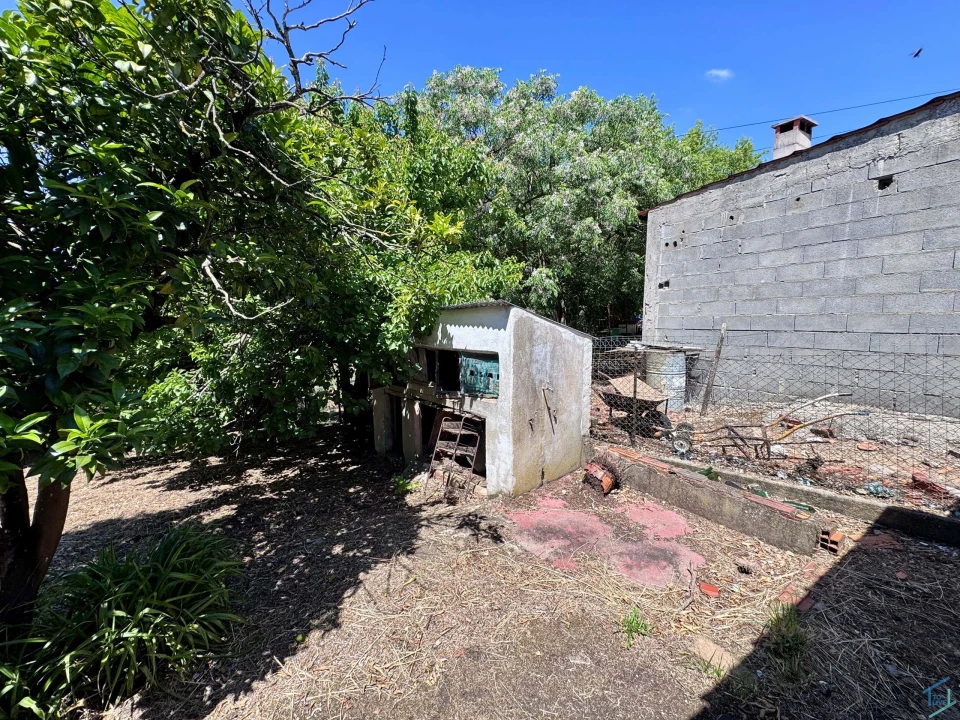 Moradia T2 para Venda em Madalena e Beselga Foto 32