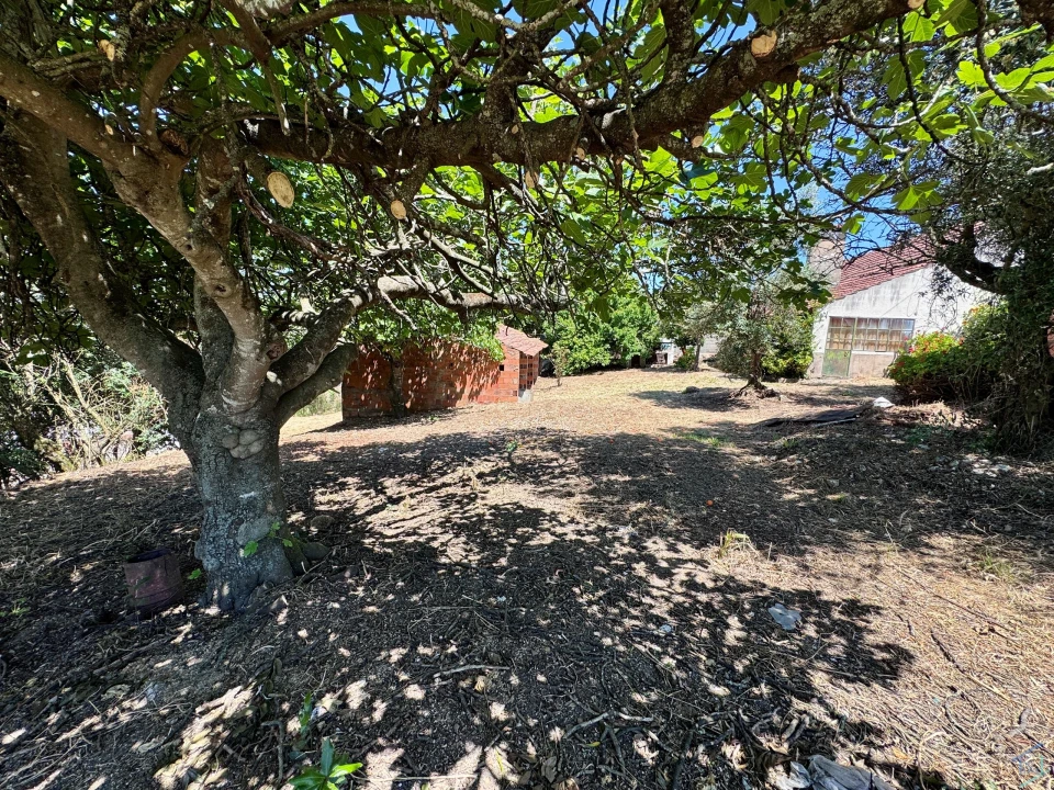 Moradia T2 para Venda em Madalena e Beselga Foto 42