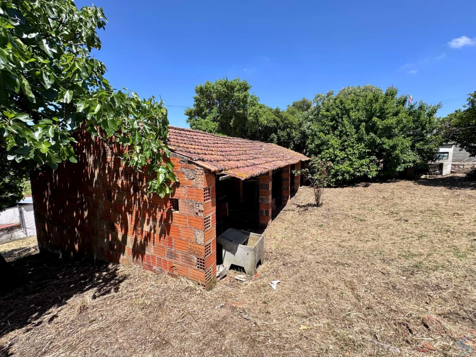 Moradia T2 para Venda em Madalena e Beselga Foto 31