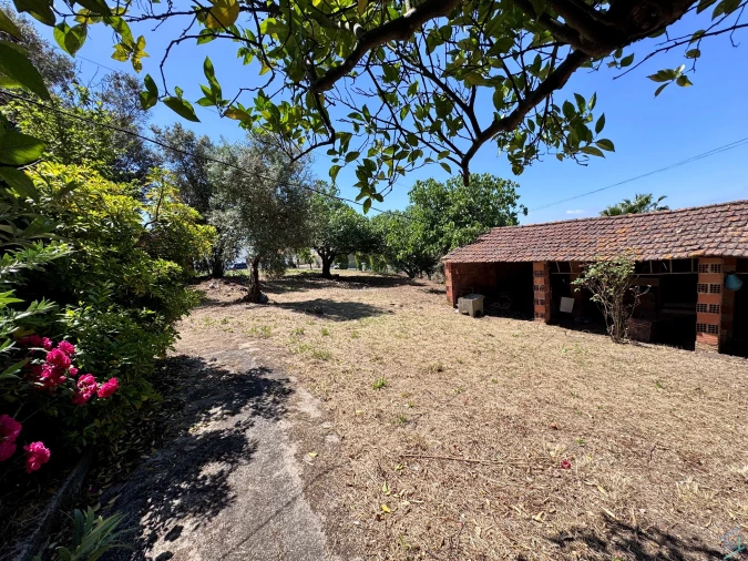 Moradia T2 para Venda em Madalena e Beselga Foto 33