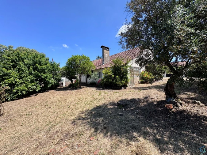 Moradia T2 para Venda em Madalena e Beselga Foto 4