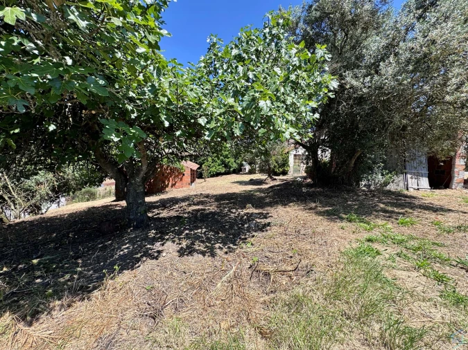 Moradia T2 para Venda em Madalena e Beselga Foto 43