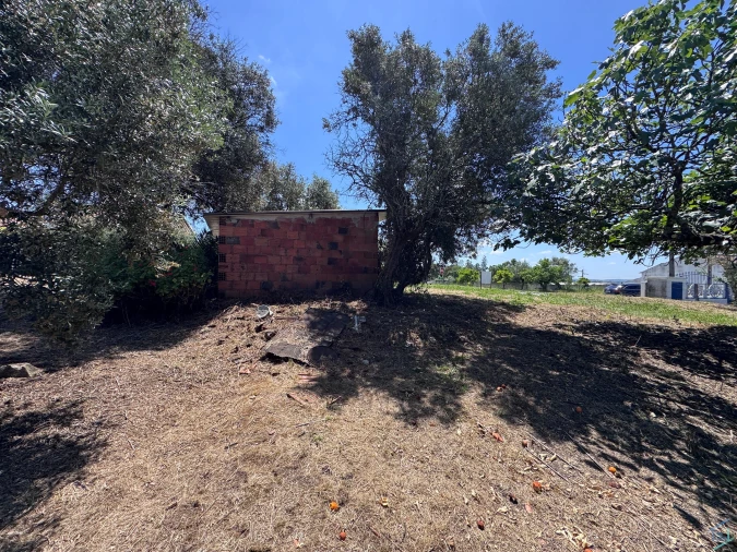 Moradia T2 para Venda em Madalena e Beselga Foto 30