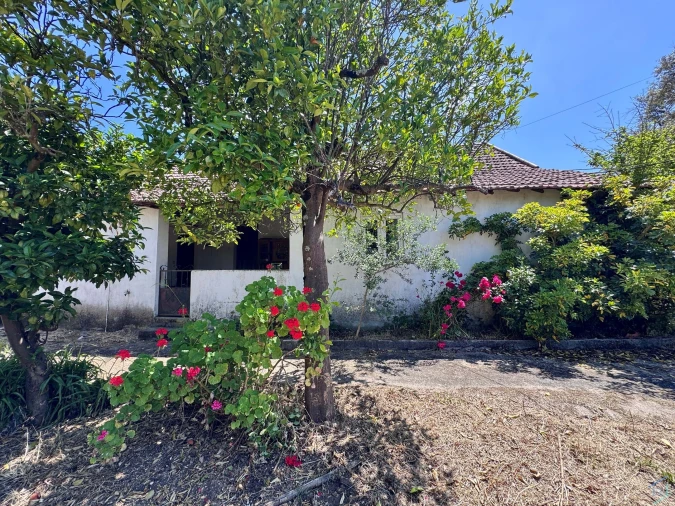 Moradia T2 para Venda em Madalena e Beselga Foto 23