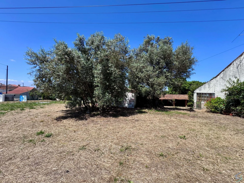 Moradia T2 para Venda em Madalena e Beselga Foto 25