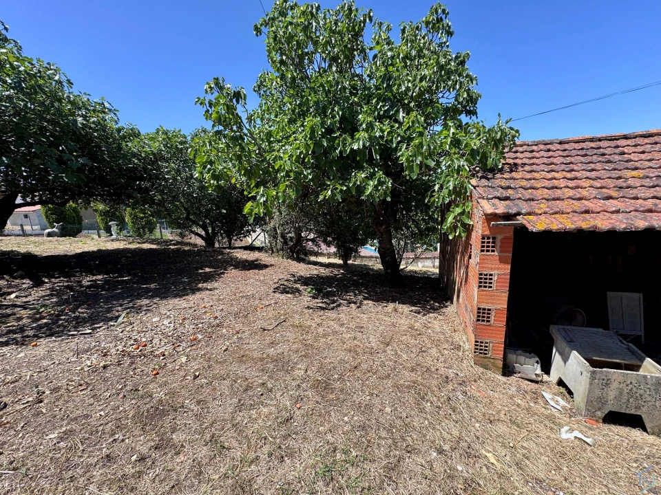 Moradia T2 para Venda em Madalena e Beselga Foto 29