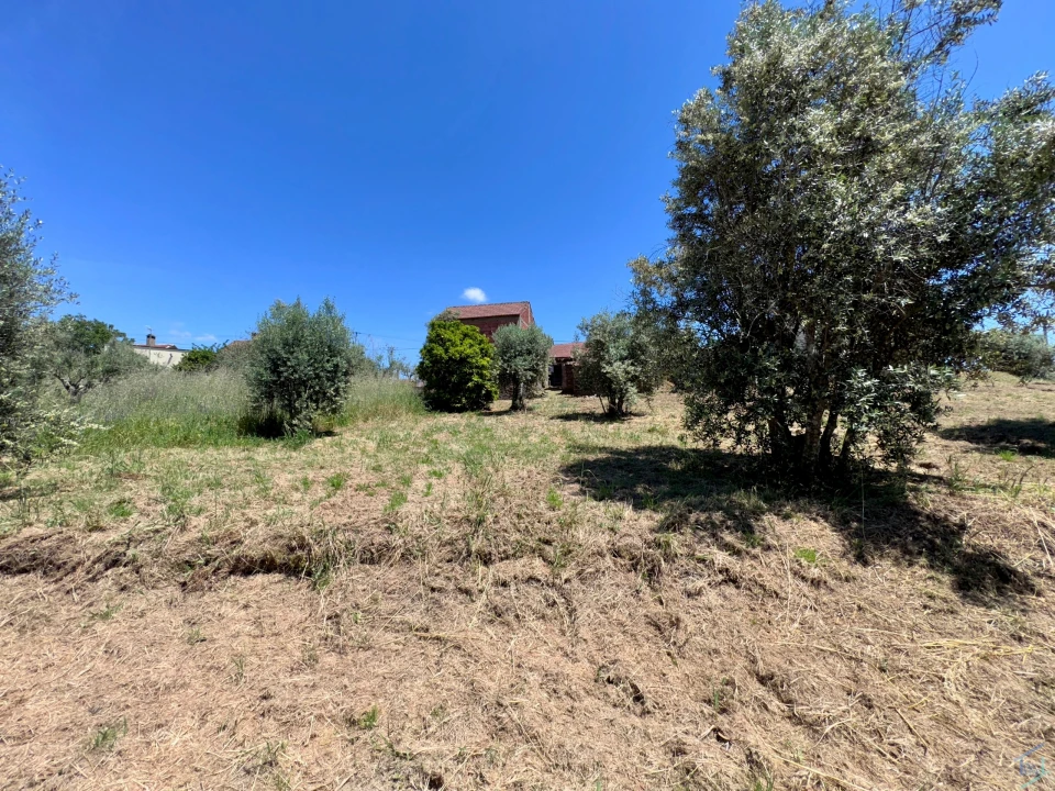 Moradia T2 para Venda em São Pedro de Tomar Foto 37