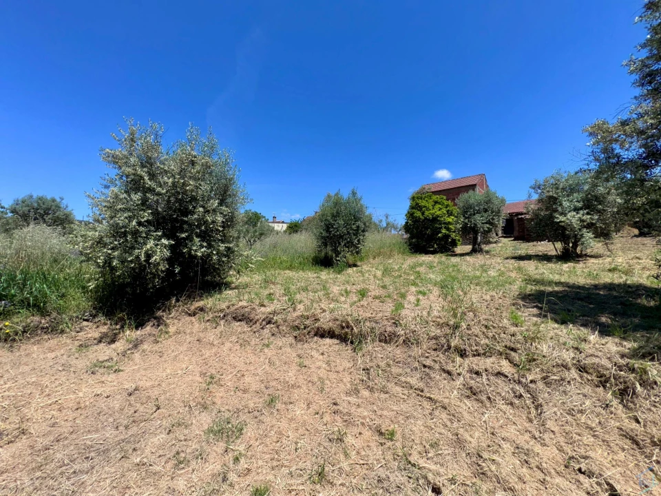 Moradia T2 para Venda em São Pedro de Tomar Foto 38