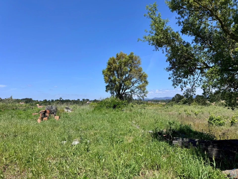 Terreno para Venda em São Pedro de Tomar Foto 9