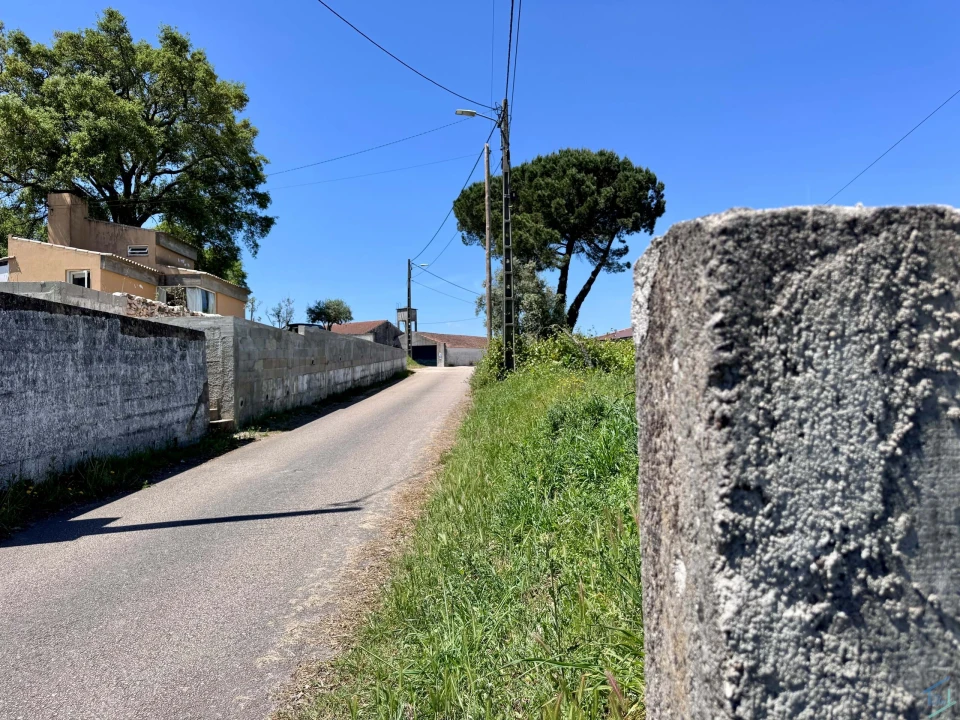 Terreno para Venda em São Pedro de Tomar Foto 13